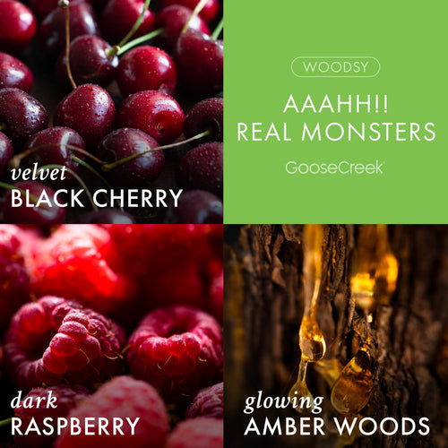 Aaahh!! Real Monsters Nickelodeon 3-Wick Candle