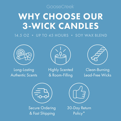 Blueberry Pancakes 3-Wick Candle